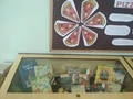 biblio_pizza_4_120