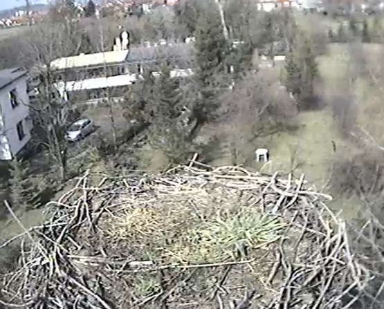 bocianiegniazdoustron_bocianyedupl