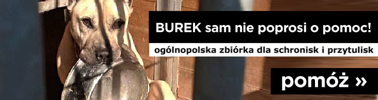 burek_750_200